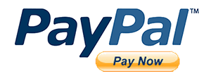 make a payment with PayPal